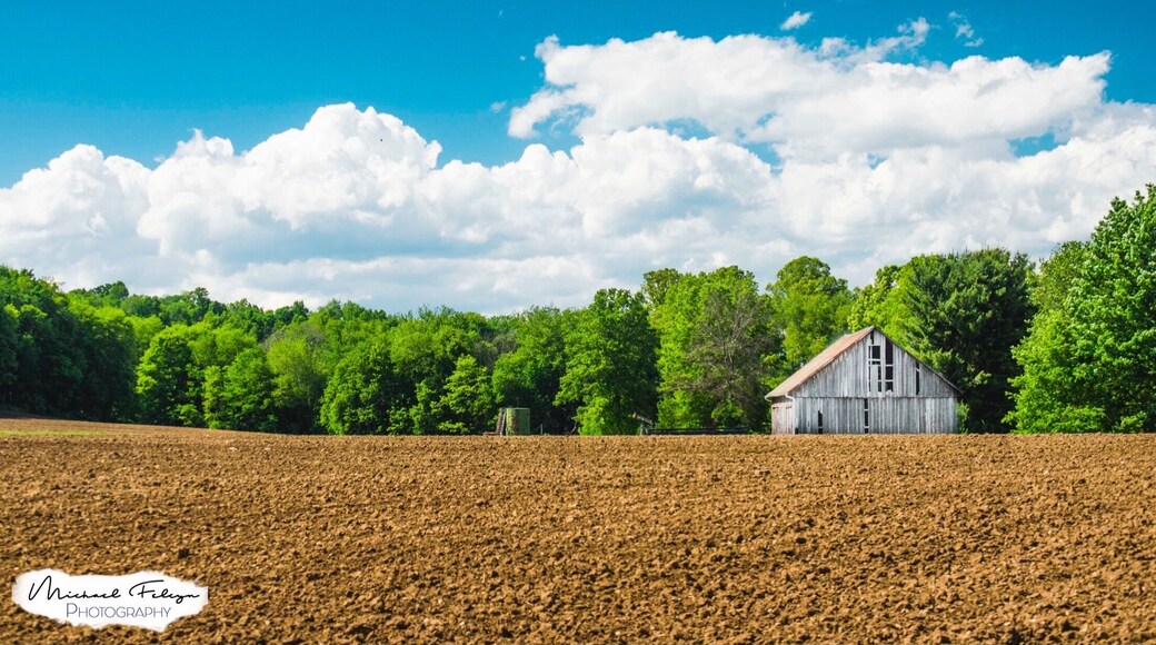 Rural Barn off of 44