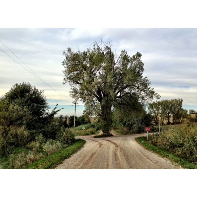 A rural dirt road with a stop sign, surrounded by trees and vegetation.