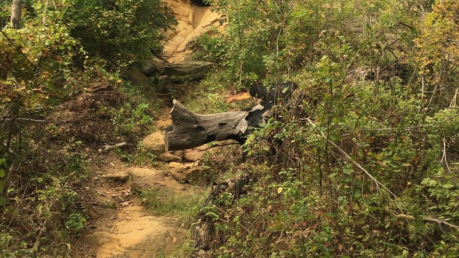 One of the caves in the cliffs at Horse Thief Canyon