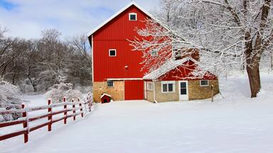 Agriculture and rural life at winter background.Rural landscape with red barn, wooden red fence and trees covered by fresh snow in sunlight. Scenic winter view at Wisconsin, Midwest USA, Madison area.