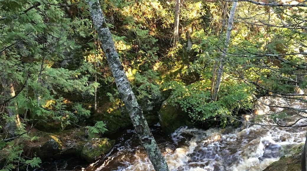 Some small falls and a few Rapids after a short hike