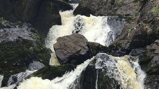 Out enjoying a cool fall day