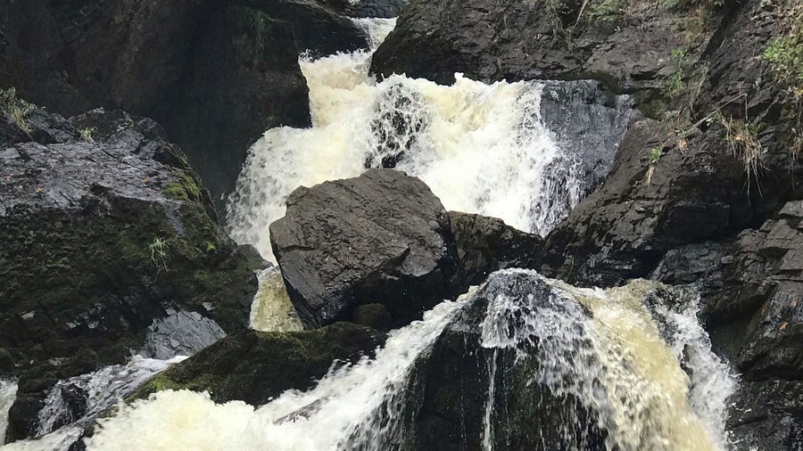 Out enjoying a cool fall day