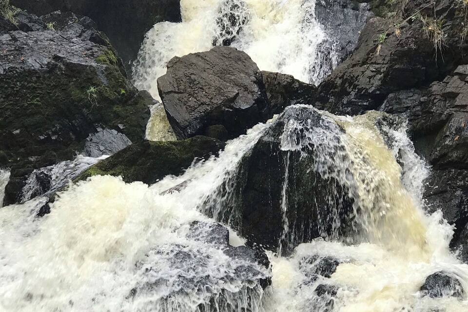 Una cascada que se precipita sobre rocas en un área boscosa.