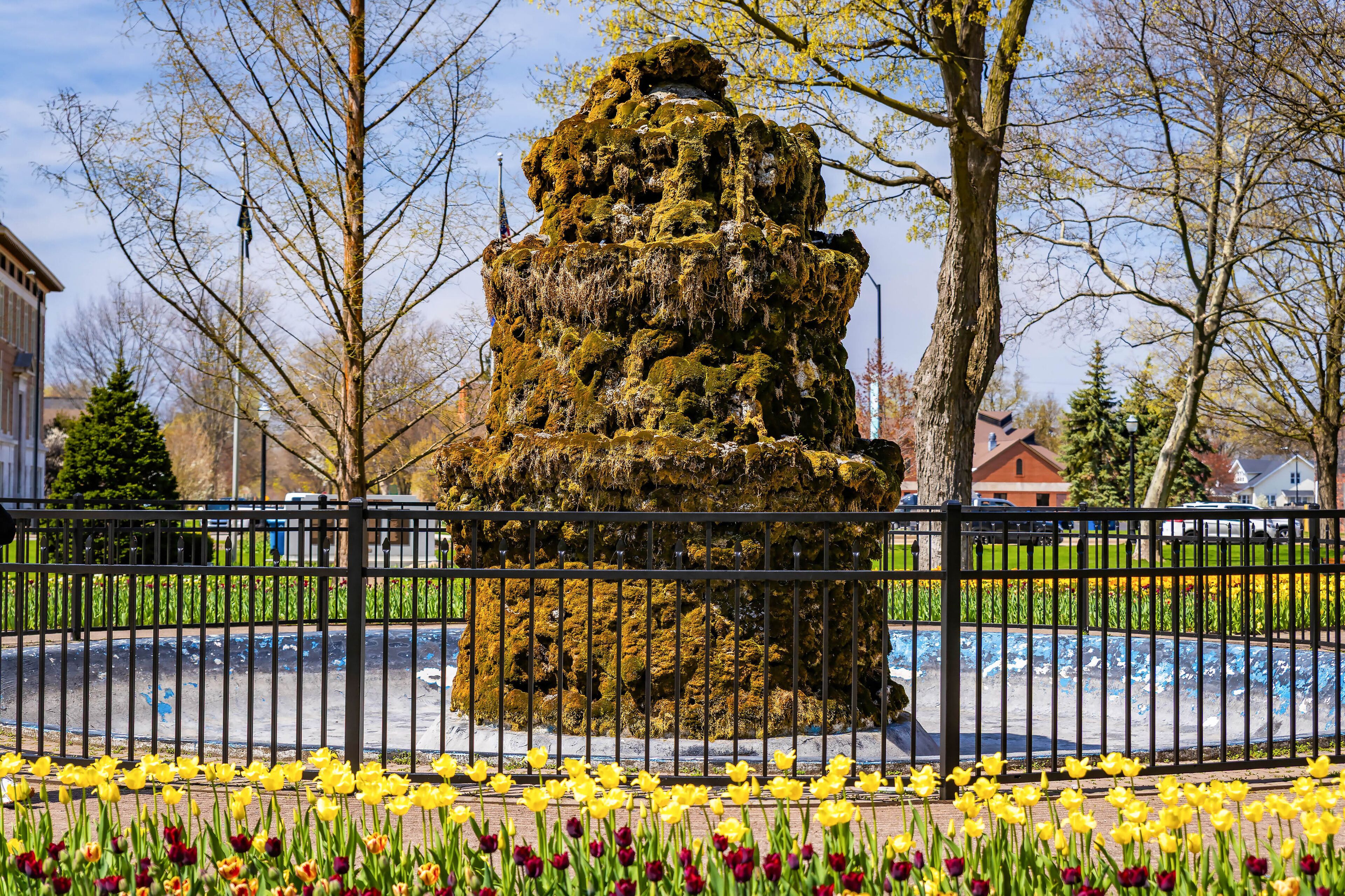 A moss-covered rock sculpture surrounded by a black metal fence, with yellow and red tulips in the foreground.