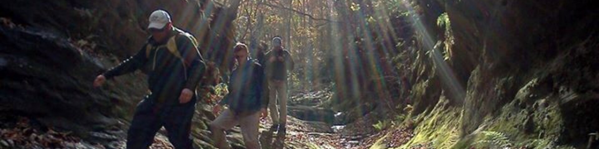 Beautiful deep sandstone canyon just half an hour from the college town of Carbondale (Southern Illinois University). Offers great hiking, interesting geology, and diverse biology.
Be cautious where you step, three venomous snakes are native to southern Illinois and this area in particular, including water moccasin, copperheads, and eastern timber rattlesnake. However, encounters are infrequent. No camping allowed nowadays, but back in the day it was a great place to spend the weekend.
http://www.fs.usda.gov/recarea/shawnee/recreation/hiking/recarea/?recid=27713&actid=50