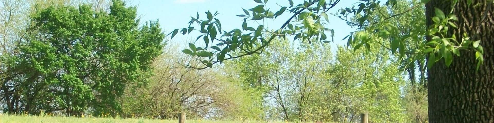 #localgem #localgem #localgem