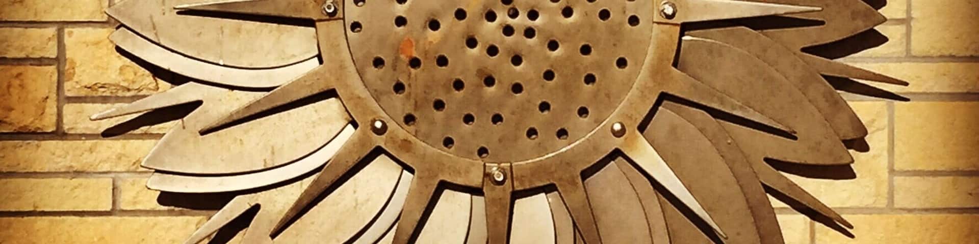 Welcome to #kansas #sunflower