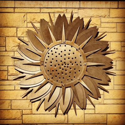 Welcome to #kansas #sunflower