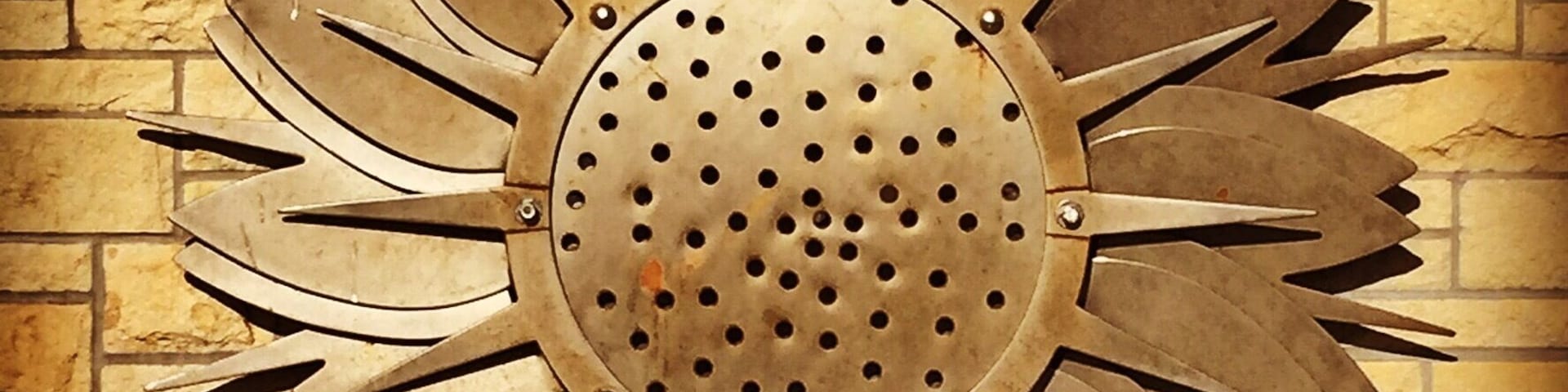 Welcome to #kansas #sunflower