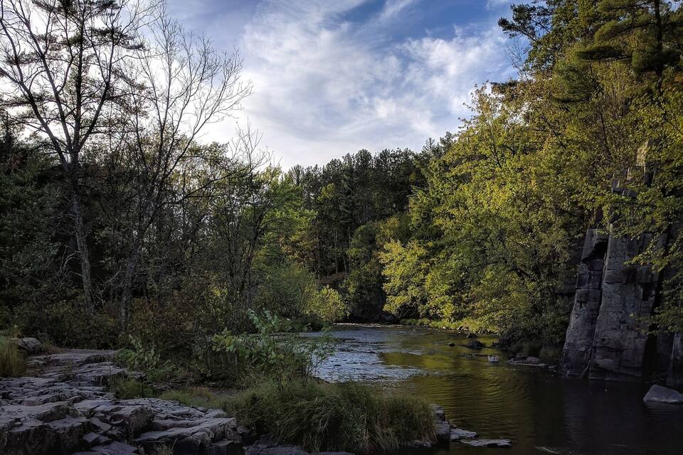 Ein Fluss fließt durch einen Wald mit felsigem Gelände und dichtem Baumbestand.