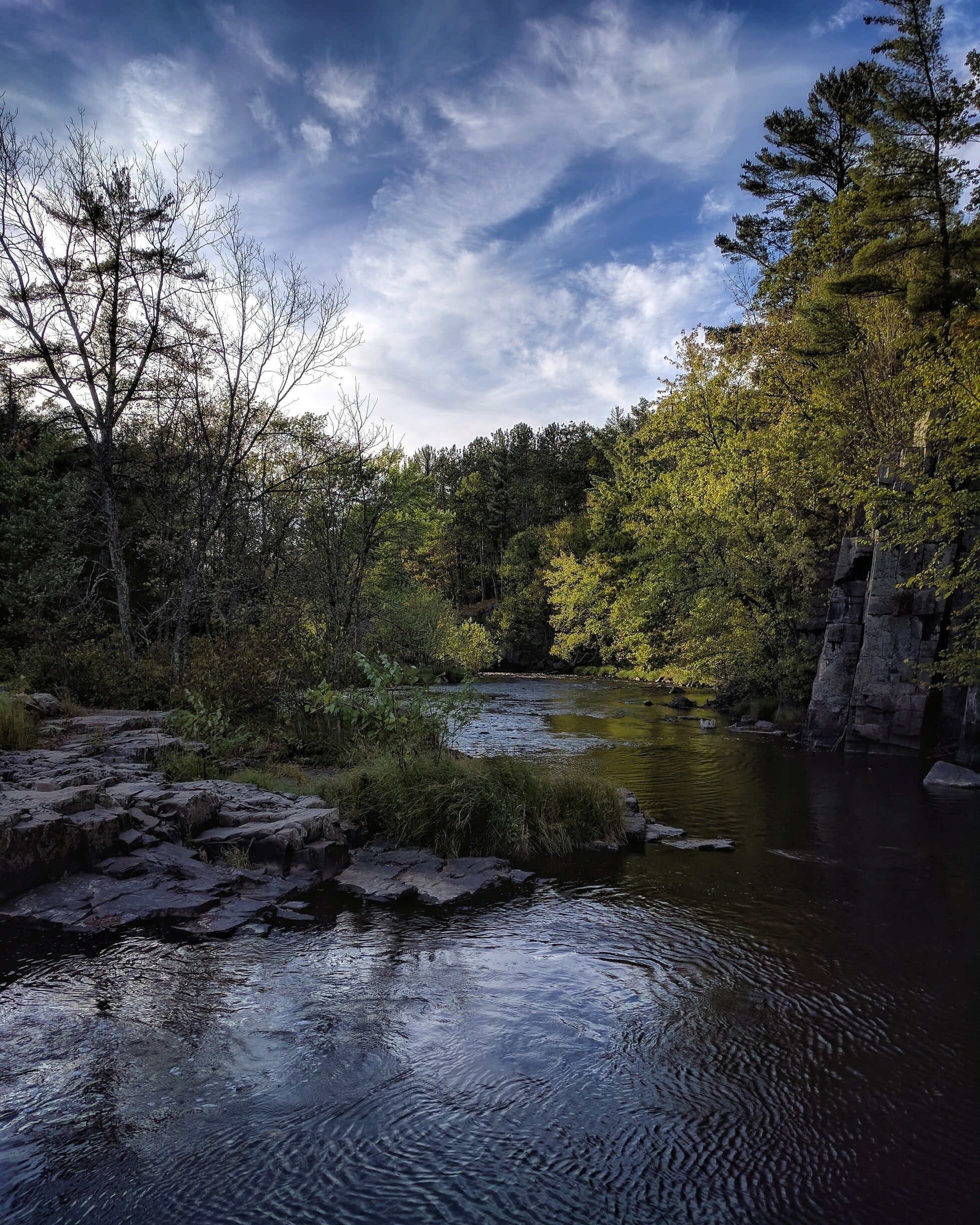 A river flowing through a forest with rocky terrain and dense trees.