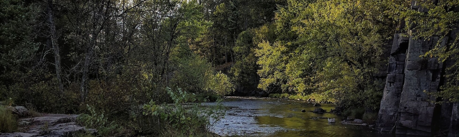 A river flowing through a forest with rocky terrain and dense trees.