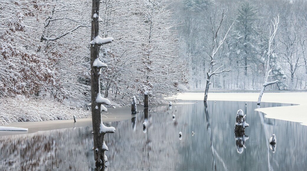 Middleville