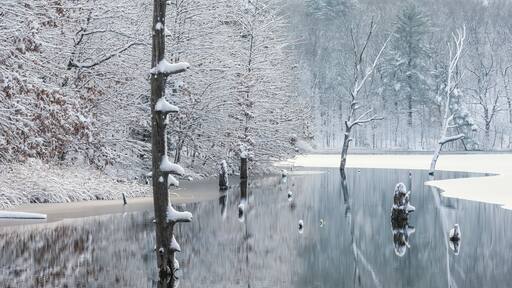 Middleville