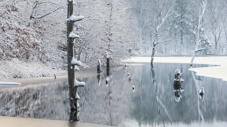 A snow-covered landscape with a frozen lake and bare trees.