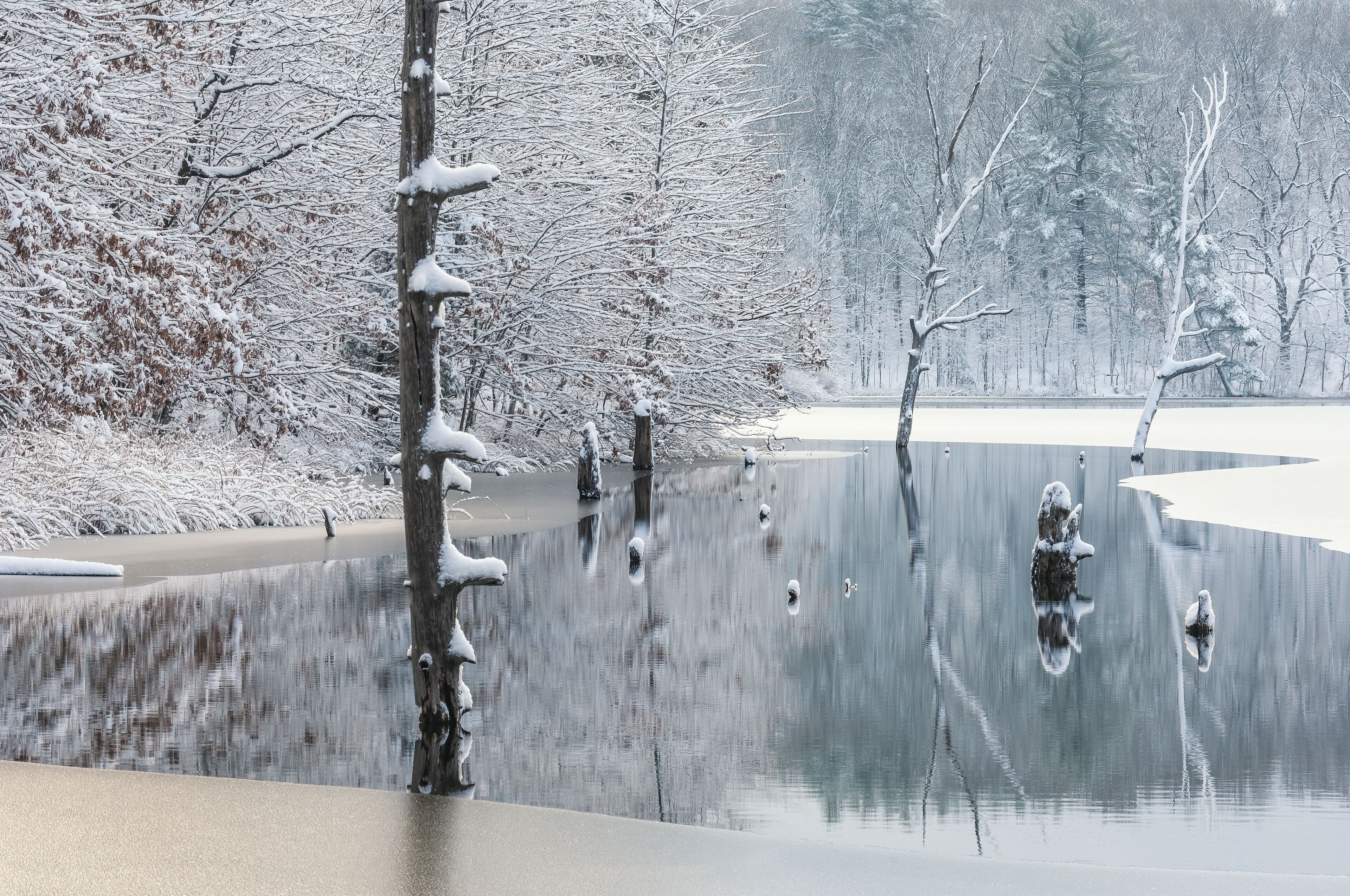 A snow-covered landscape with a frozen lake and bare trees.