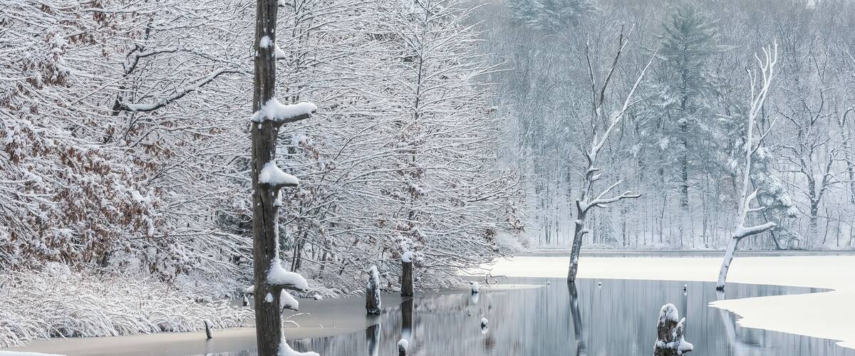 A snow-covered landscape with a frozen lake and bare trees.