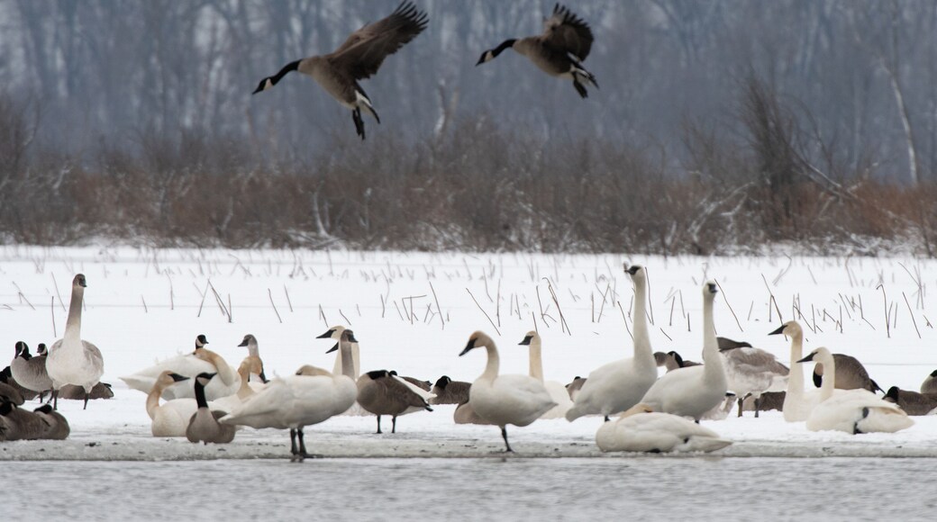 I never get tired of this place. It is wild and beautiful with amazing wildlife.