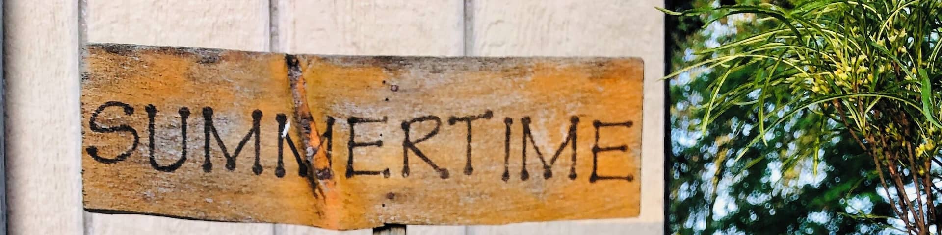 I just loved how the sun placed the shadows of the flowers on the sun sign.