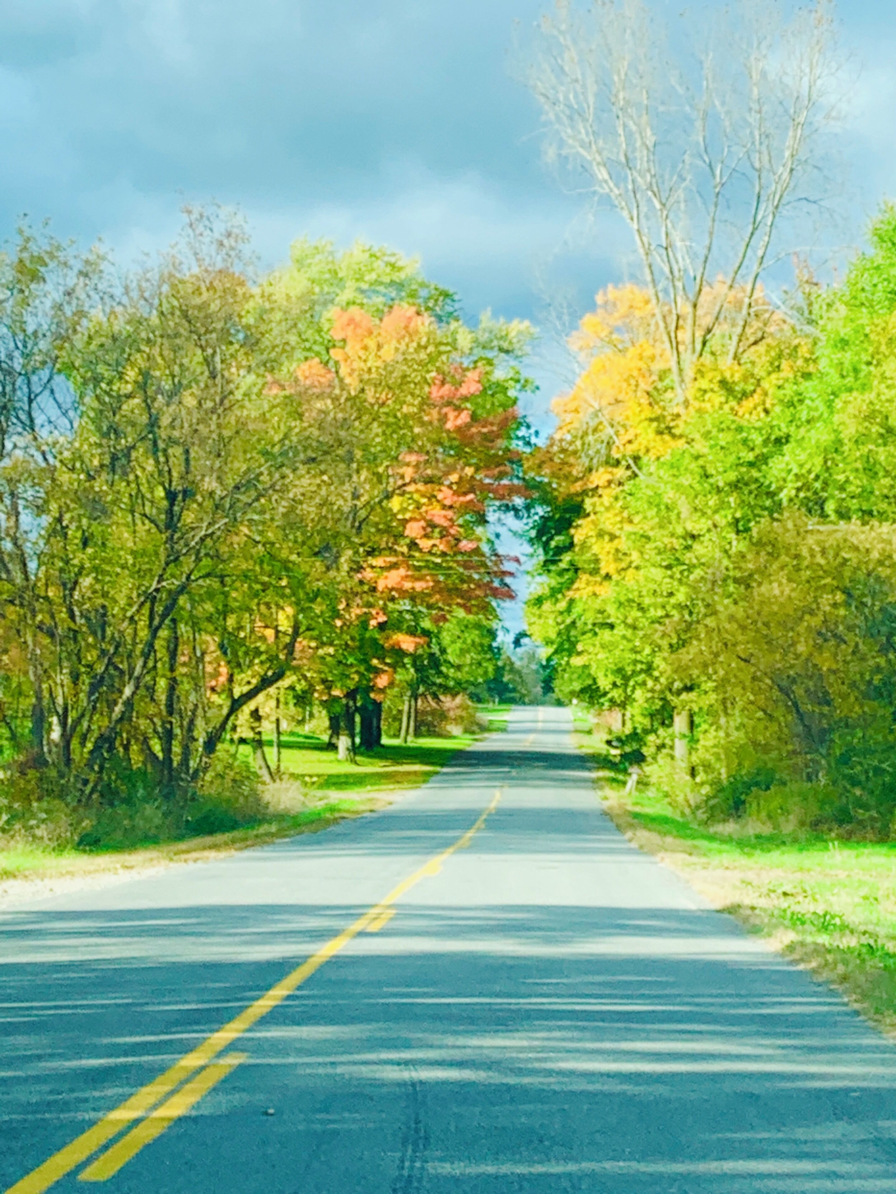 Fall days in Michigan are the best! #mybackyard