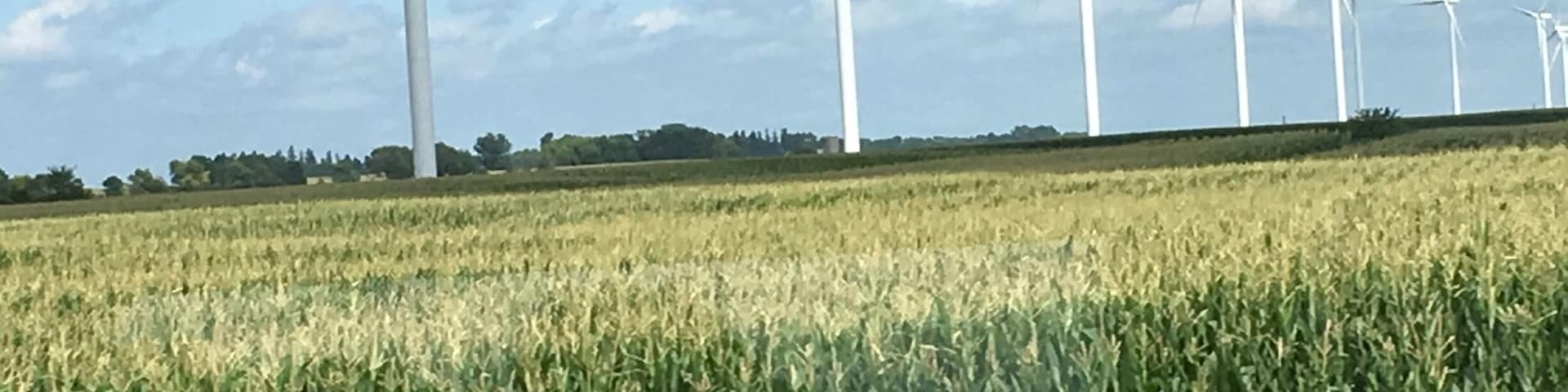 Lots of renewables scattered amongst the grain fields of Iowa. Most of the renewables were wind.