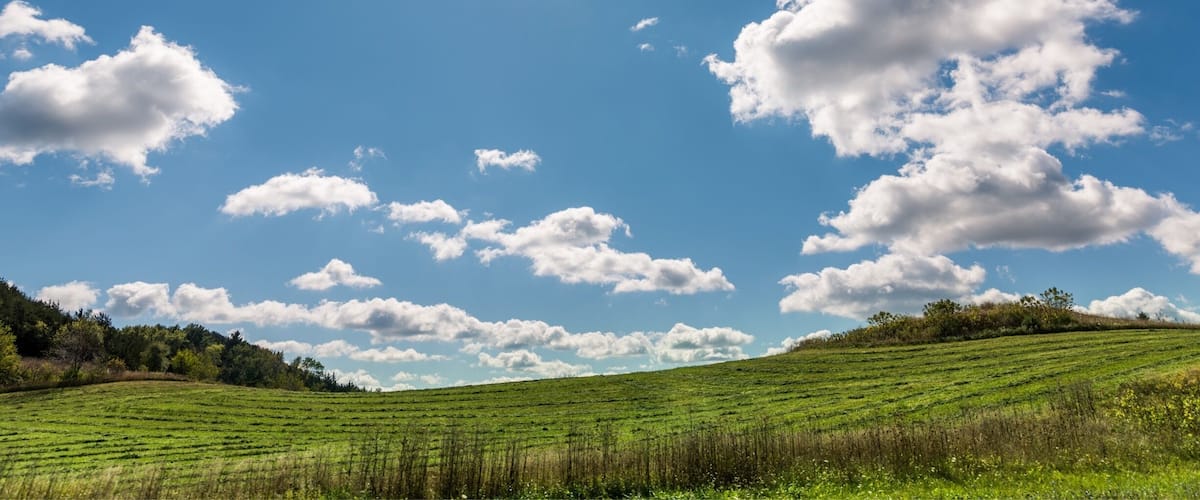A sunlit field with scattered clouds and a distant hill.