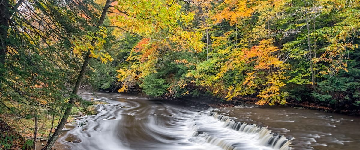 A river flowing through a forest with autumn foliage.