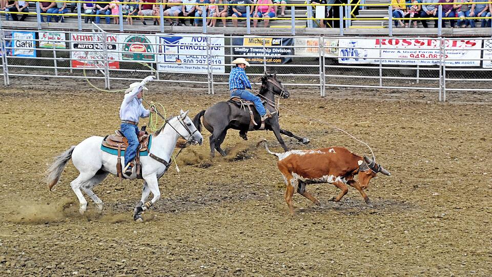 A rodeo with horses and a calf, surrounded by spectators.