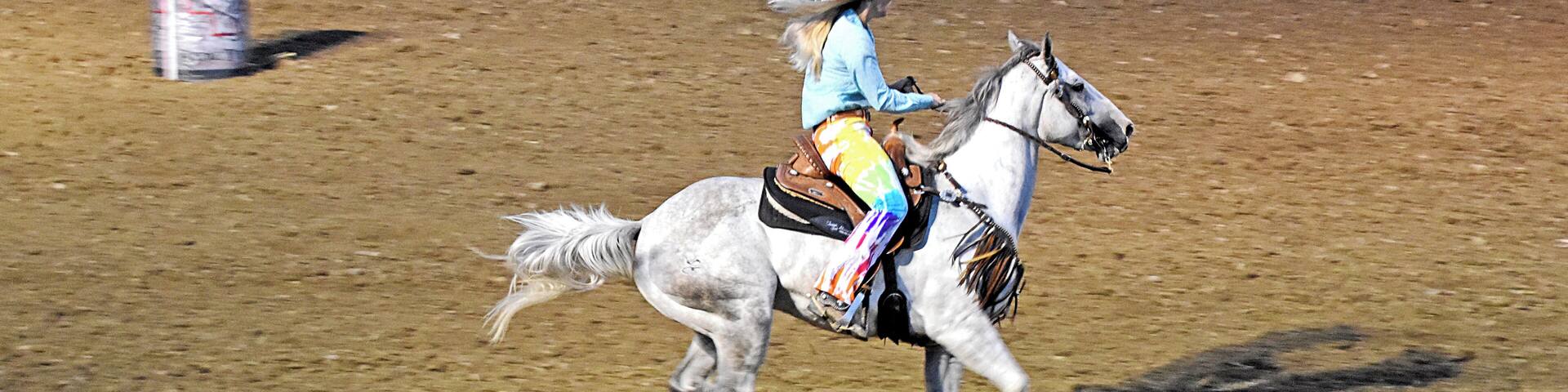Barrel racer.