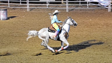 Barrel racer.