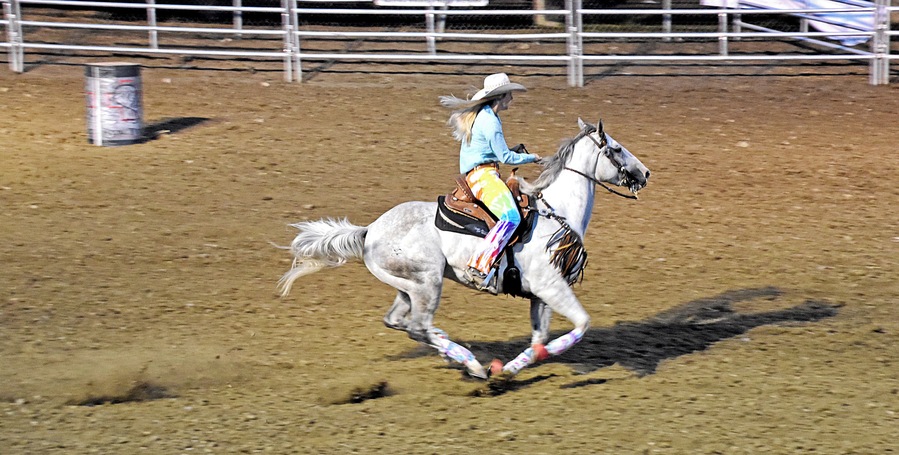 Barrel racer.