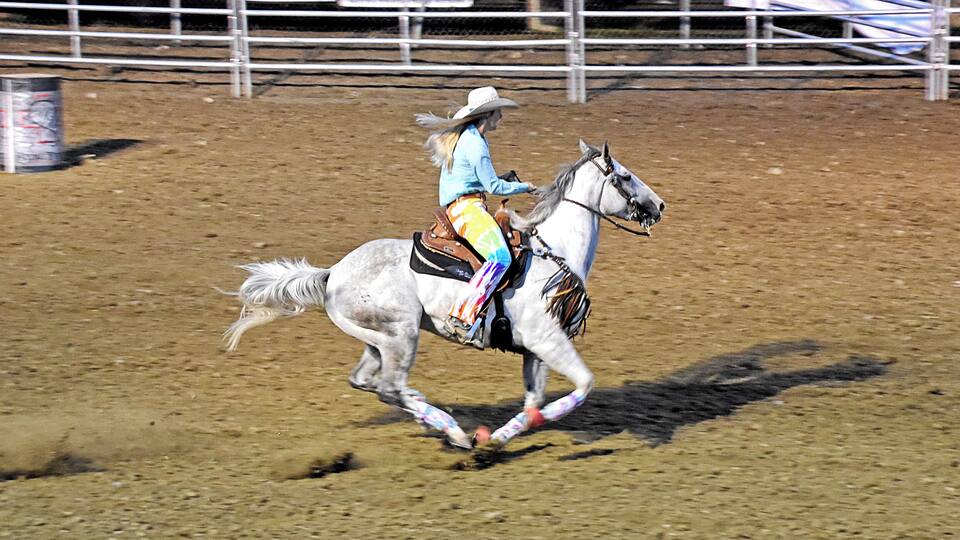 A person riding a rearing white horse in a dirt arena.