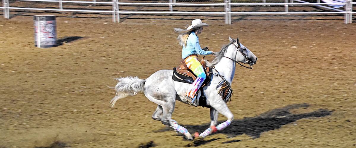 A person riding a rearing white horse in a dirt arena.