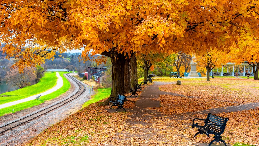 A park with a curved railway track, benches, and a tree with yellow leaves.