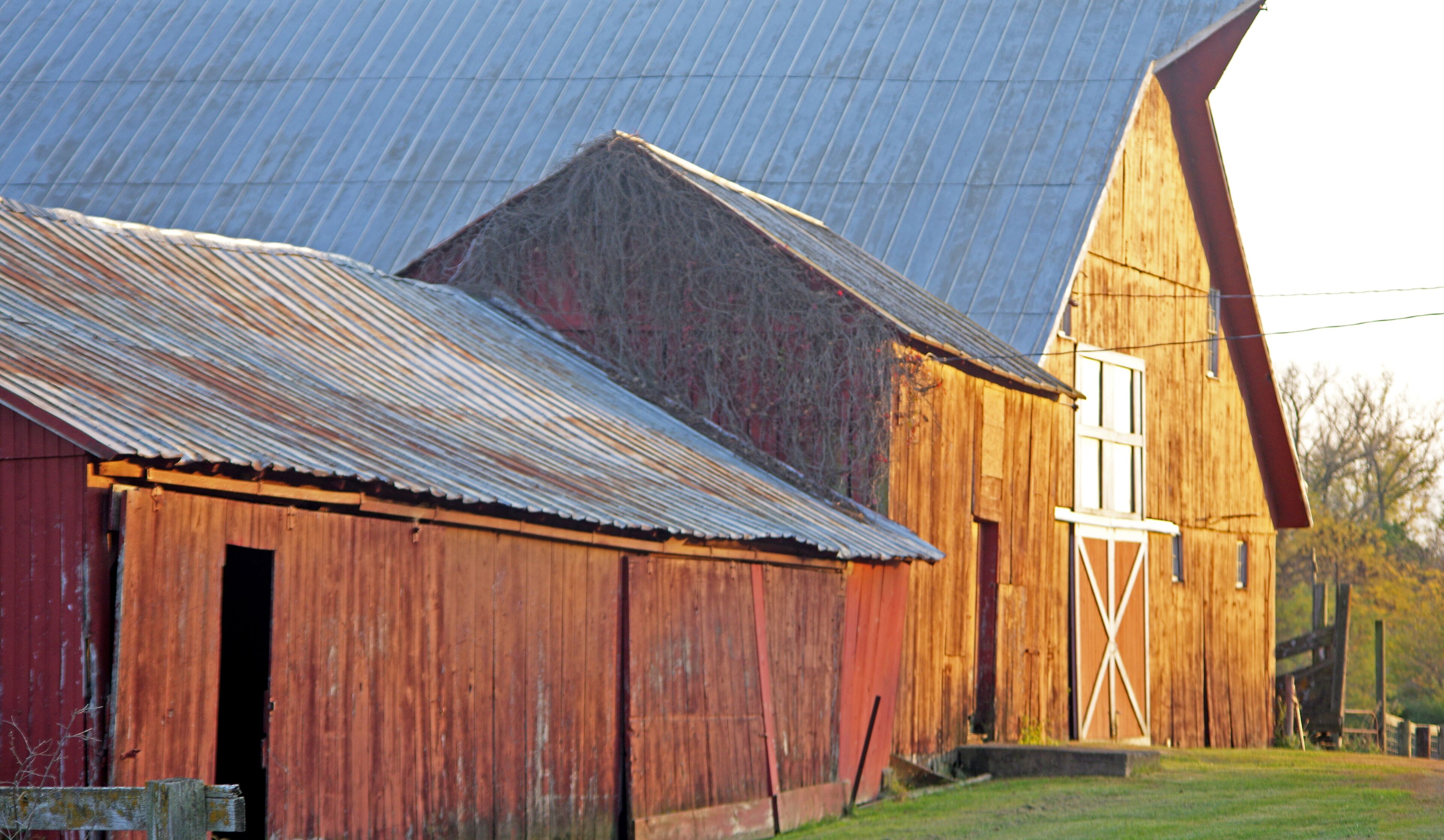 A rustic barn with a corrugated metal roof and a wooden structure with a white cross truss.