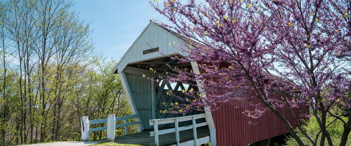 A covered bridge with a white railing, surrounded by trees and grass.