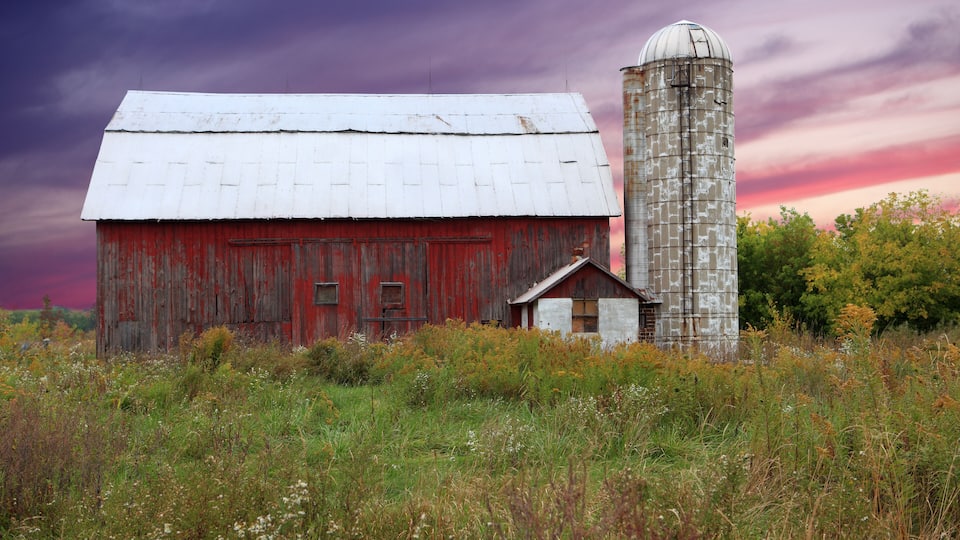 A red barn with a silo in a field.