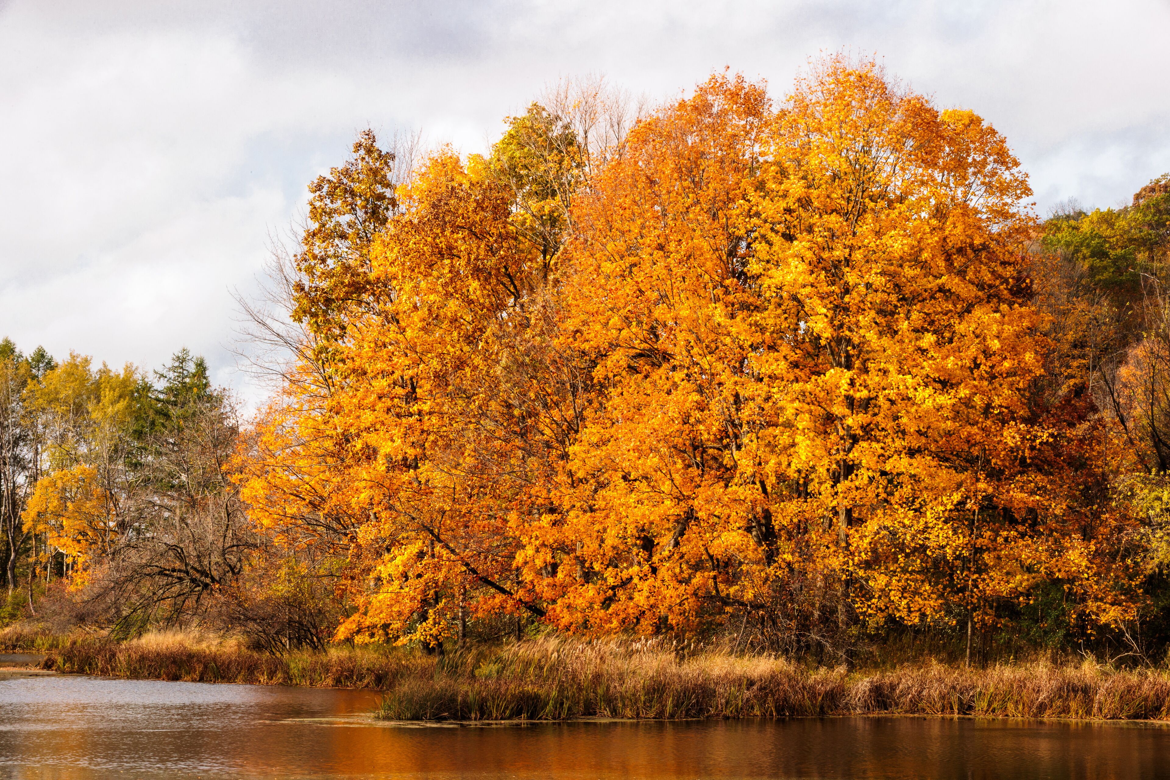 Village of Germantown