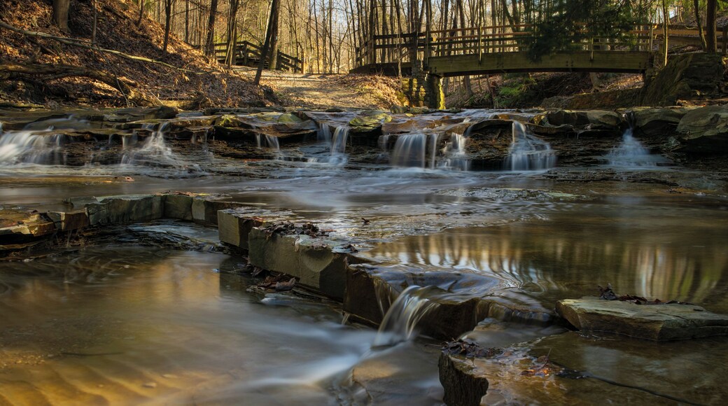 Another very easy hike to these falls. #waterfall #Ohio