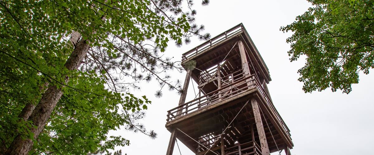 A wooden observation tower in a forest.
