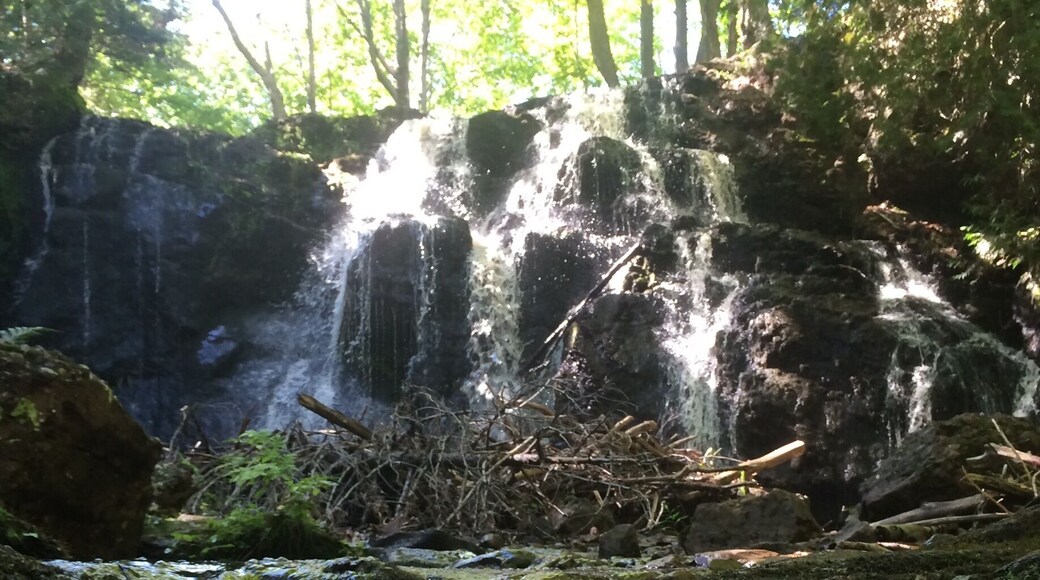 Also the site of the Keweenaw Fault, Upper Hungarian Falls is a geologic gold mine (pun intended)--the rocks on & above the falls are of different composition than those below the falls. Within 1 mile downstream, the Hungarian River has 6 more waterfalls before emptying into Torch Lake...5 minute hike via Hungarian Falls Trail trail from roadside parking on Golf Course Road...25-30ft tall...WORTH IT