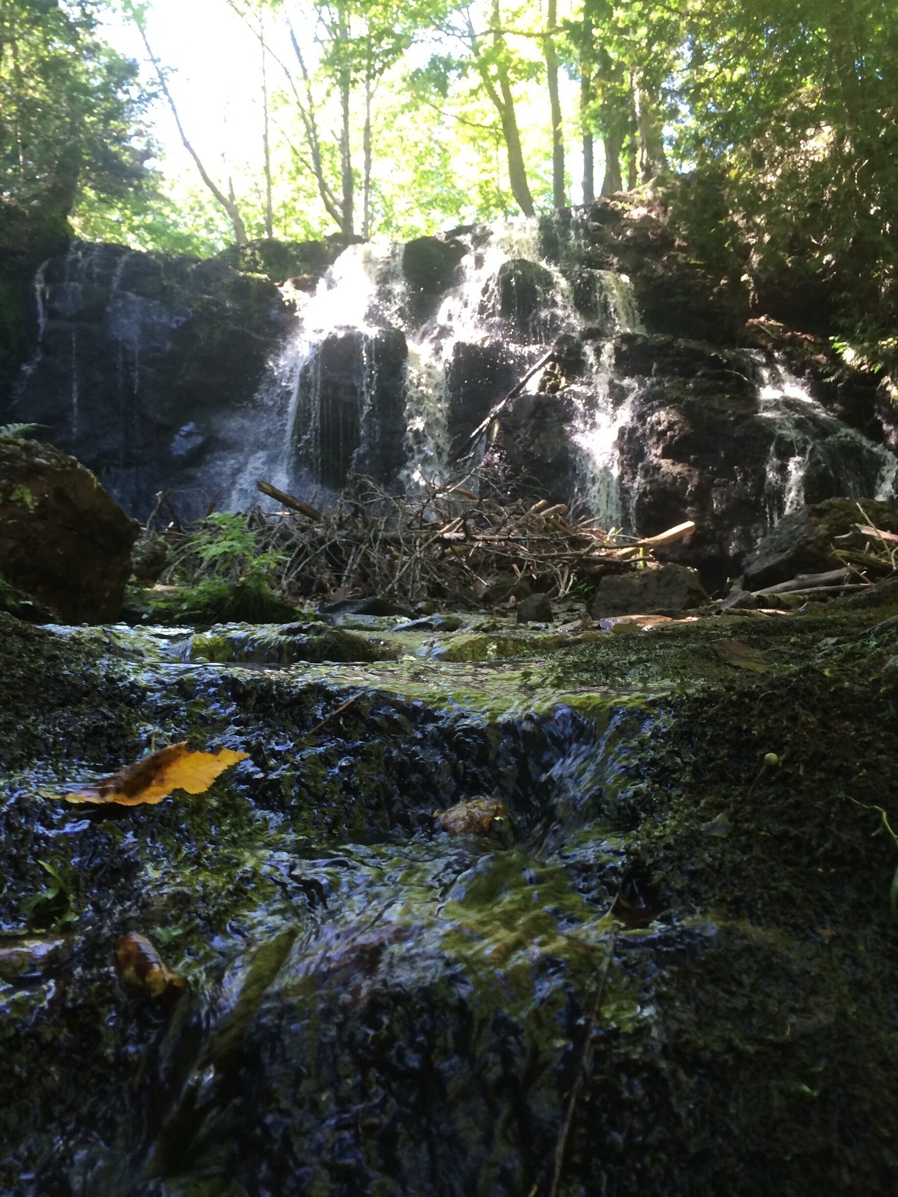 A waterfall in a forested area with moss-covered rocks and a small stream.