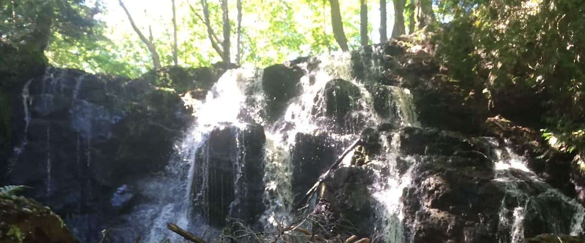 A waterfall in a forested area with moss-covered rocks and a small stream.