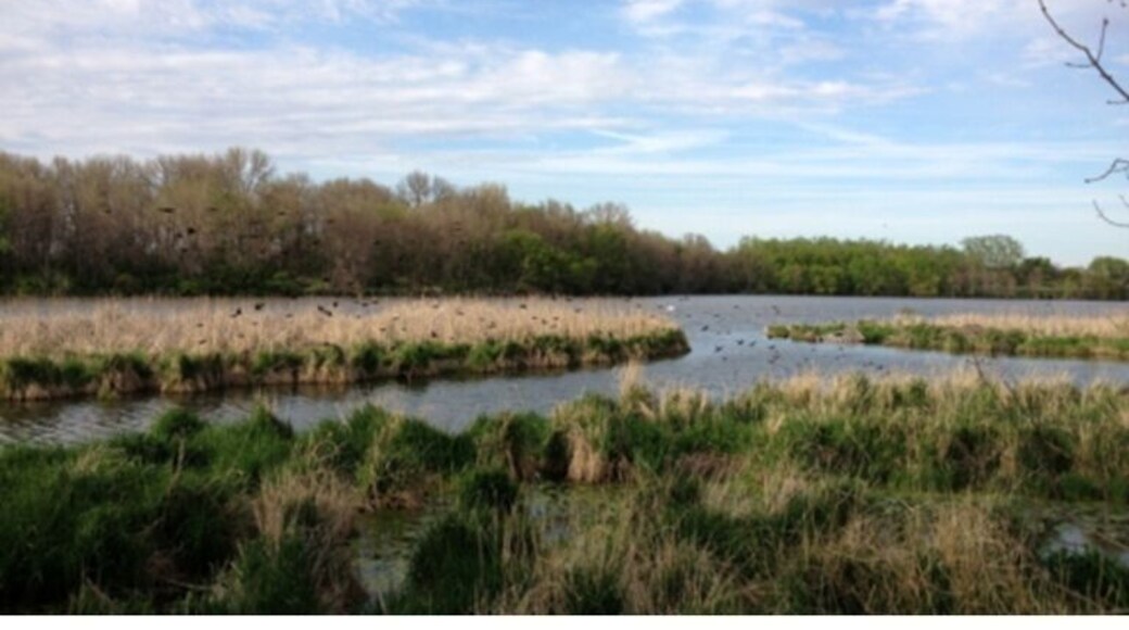 Small lake and wetland ecosystem. Popular fishing spot.