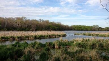 Small lake and wetland ecosystem. Popular fishing spot.