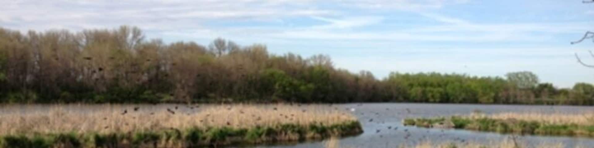 Small lake and wetland ecosystem. Popular fishing spot.