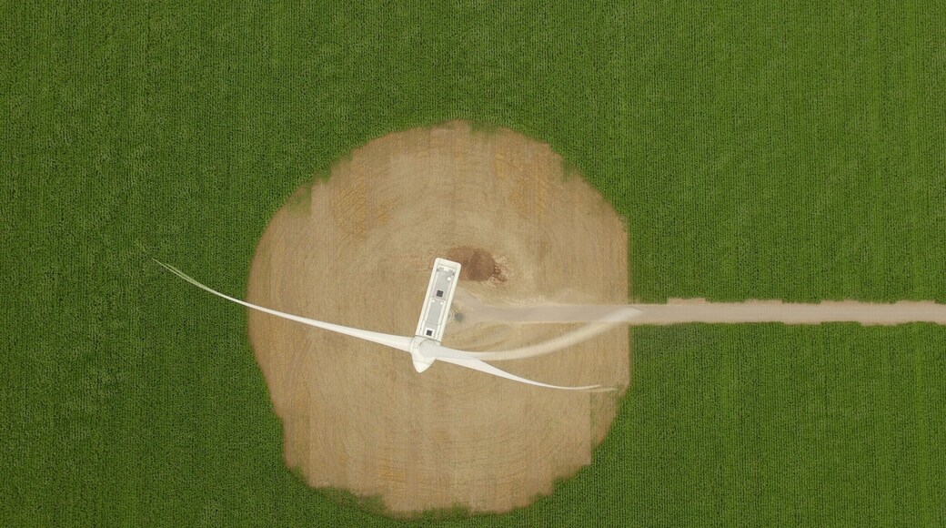 A wind generator surrounded by rows of corn.
#patterns