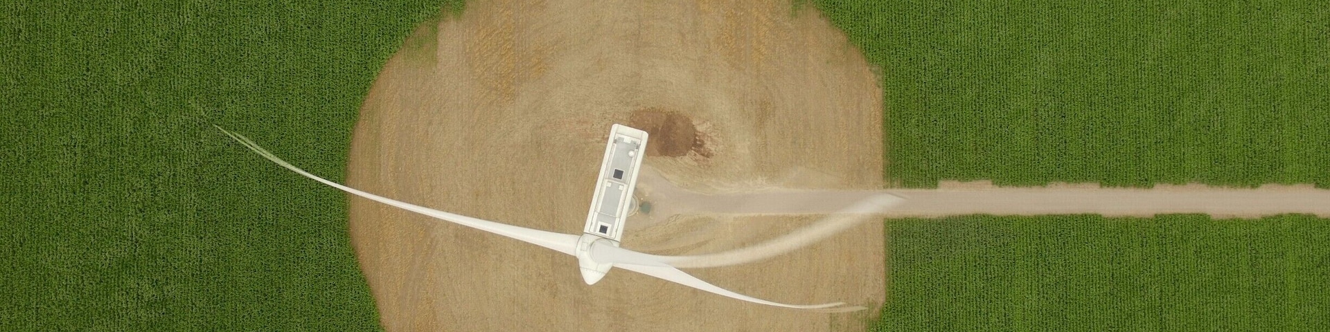 A wind generator surrounded by rows of corn.
#patterns