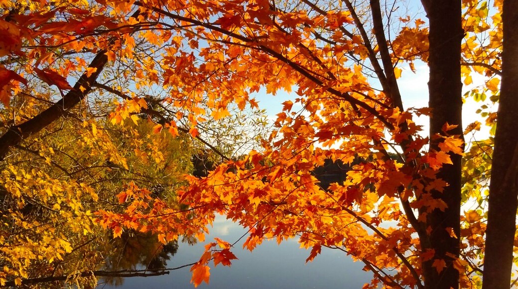 #localsecrets I grew up on this lake in Norrie Wis. My brother Charles grows the most juicy raspberries and I cant even mention the wine, man its delish